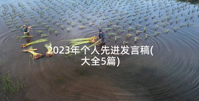 2023年个人先进发言稿(大全5篇)