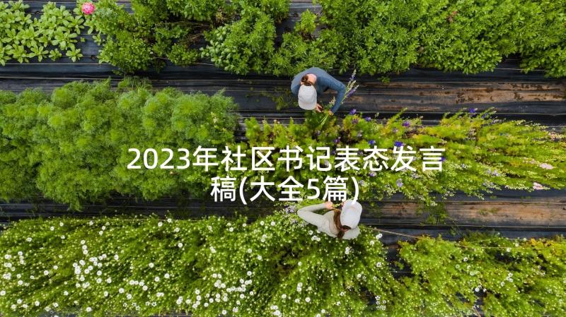 2023年社区书记表态发言稿(大全5篇)