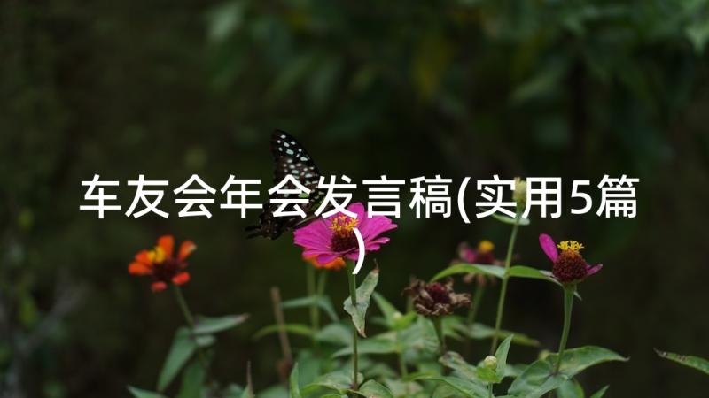 车友会年会发言稿(实用5篇)