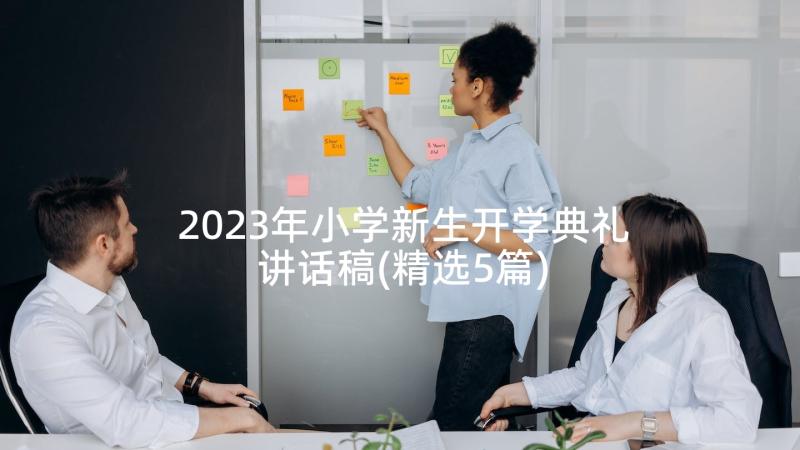 2023年小学新生开学典礼讲话稿(精选5篇)