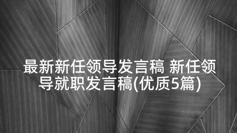 最新新任领导发言稿 新任领导就职发言稿(优质5篇)