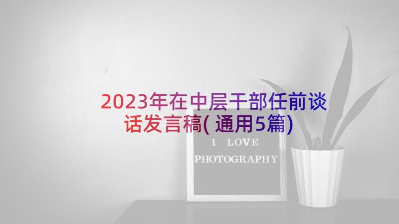 2023年在中层干部任前谈话发言稿(通用5篇)