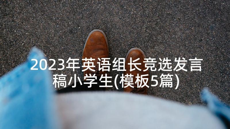 2023年英语组长竞选发言稿小学生(模板5篇)