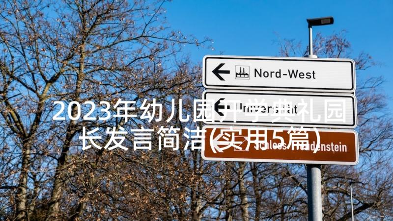 2023年幼儿园开学典礼园长发言简洁(实用5篇)