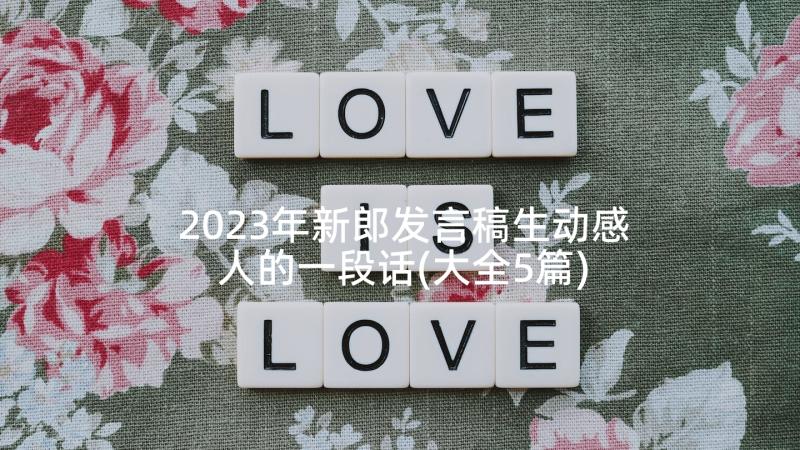 2023年新郎发言稿生动感人的一段话(大全5篇)