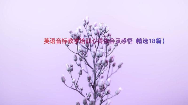 英语音标教学培训心得体会及感悟（精选18篇）