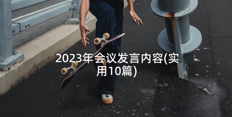 2023年会议发言内容(实用10篇)