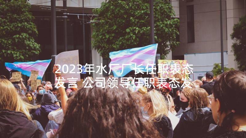 2023年水厂厂长任职表态发言 公司领导任职表态发言稿(精选8篇)