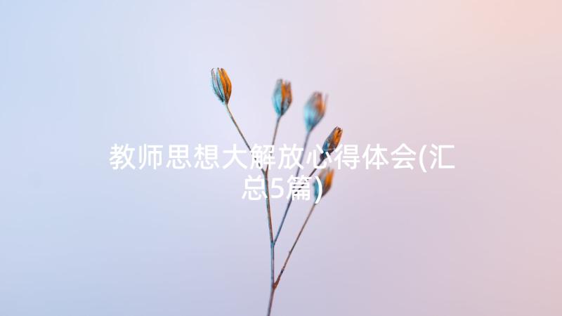 教师思想大解放心得体会(汇总5篇)