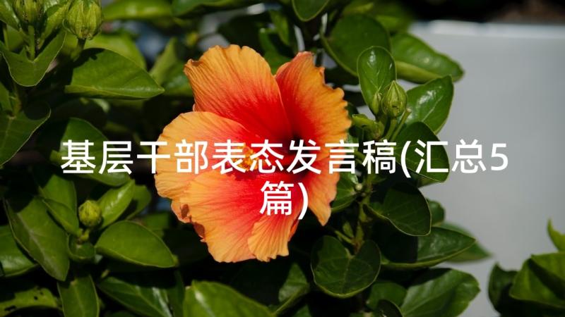 基层干部表态发言稿(汇总5篇)