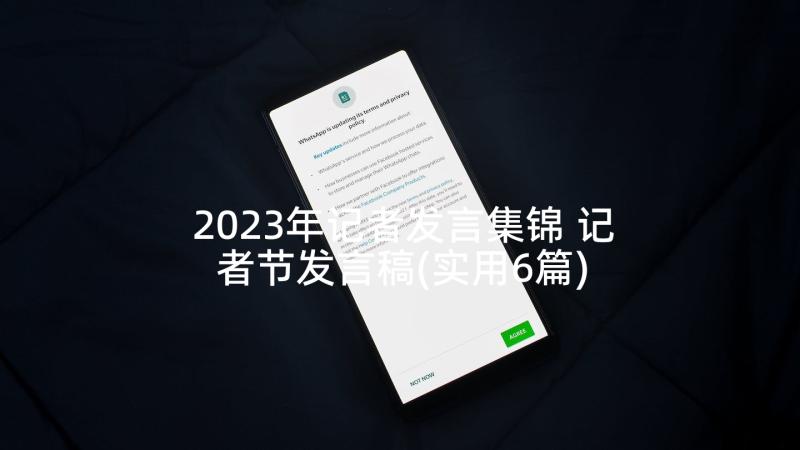 2023年记者发言集锦 记者节发言稿(实用6篇)