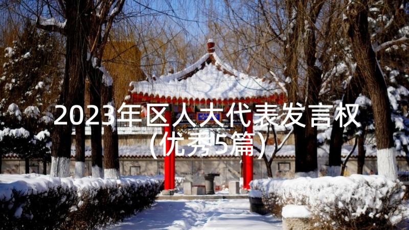 2023年区人大代表发言权(优秀5篇)