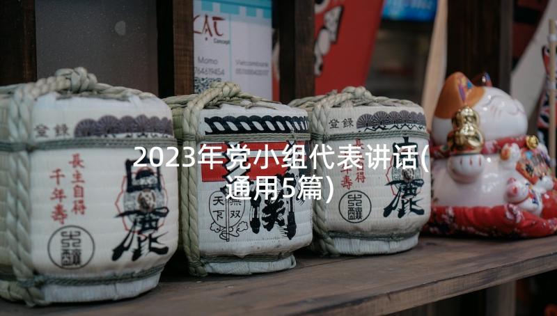 2023年党小组代表讲话(通用5篇)