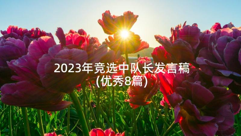 2023年竞选中队长发言稿(优秀8篇)