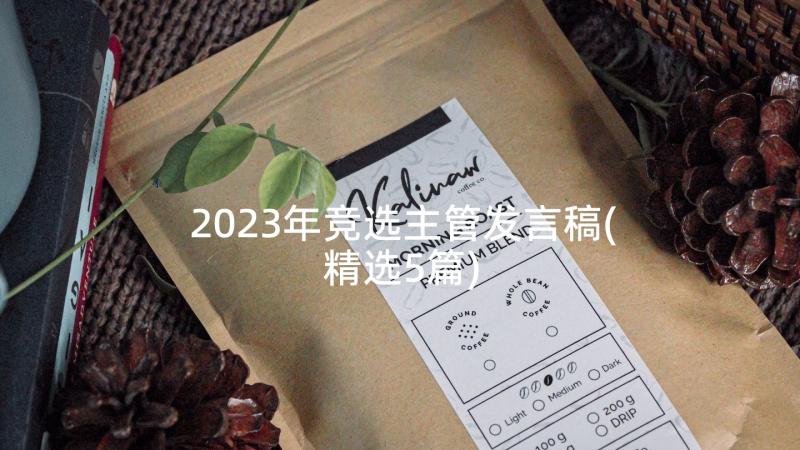 2023年竞选主管发言稿(精选5篇)