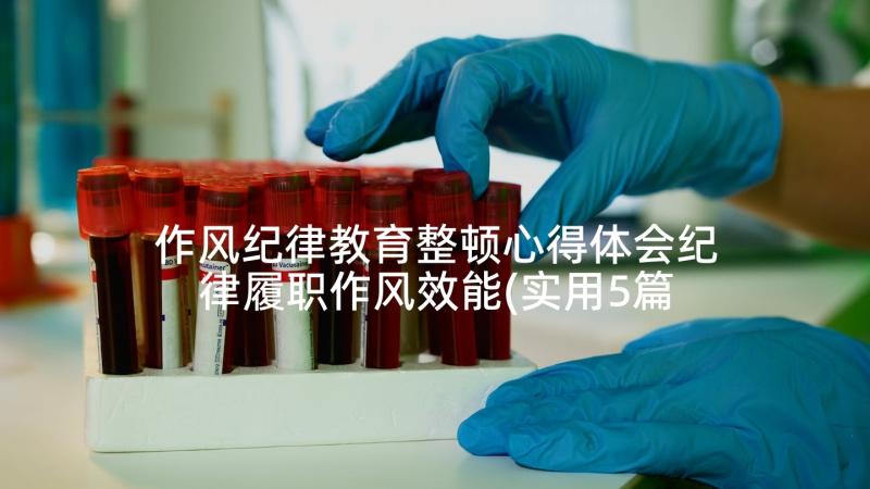 作风纪律教育整顿心得体会纪律履职作风效能(实用5篇)