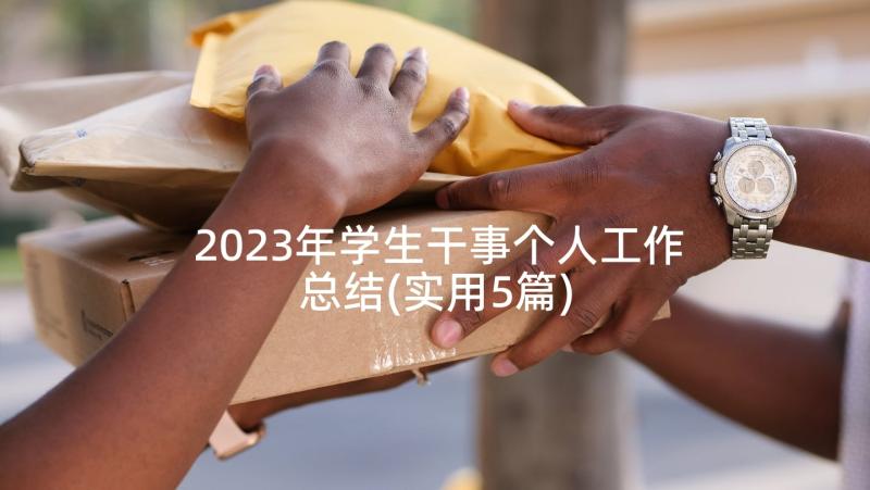 2023年学生干事个人工作总结(实用5篇)