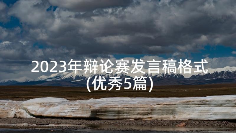 2023年辩论赛发言稿格式(优秀5篇)