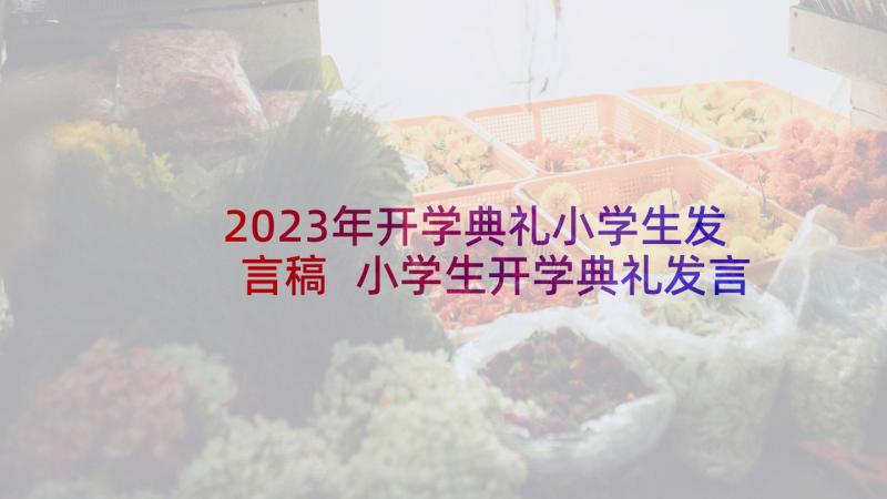 2023年开学典礼小学生发言稿 小学生开学典礼发言稿(大全8篇)