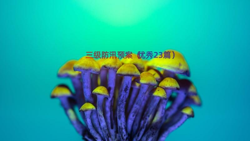 三级防汛预案（优秀23篇）