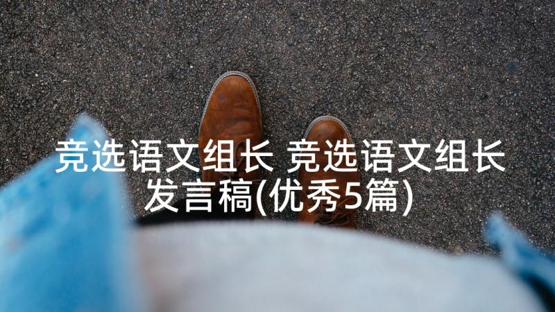 竞选语文组长 竞选语文组长发言稿(优秀5篇)