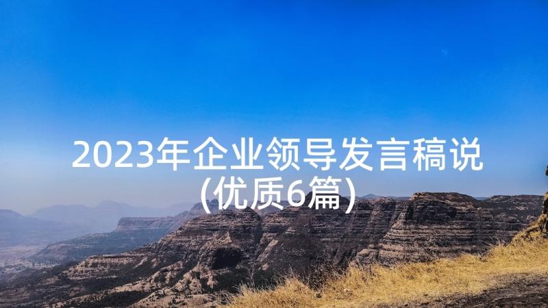 2023年企业领导发言稿说(优质6篇)