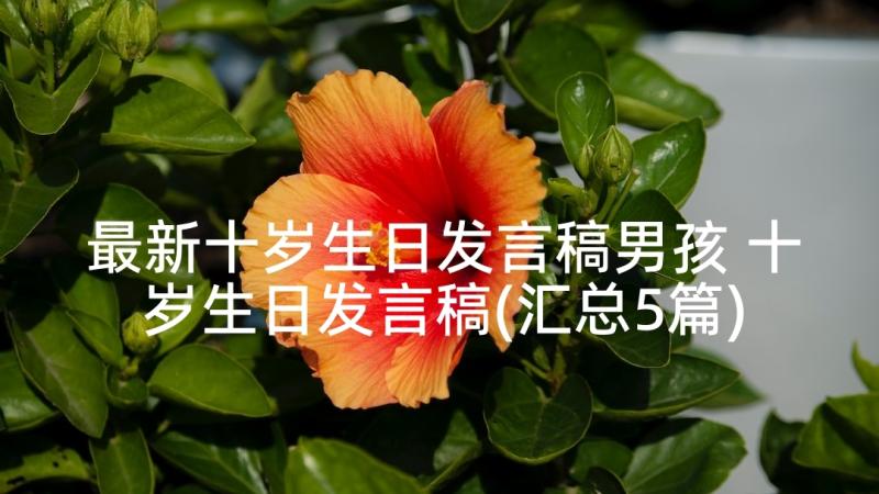 最新十岁生日发言稿男孩 十岁生日发言稿(汇总5篇)