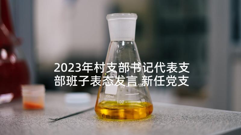 2023年村支部书记代表支部班子表态发言 新任党支部书记表态发言稿集合(优秀5篇)