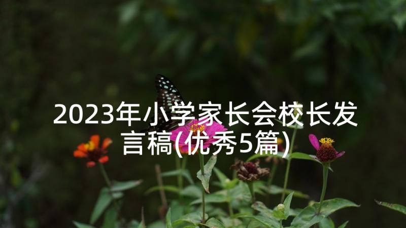 2023年小学家长会校长发言稿(优秀5篇)