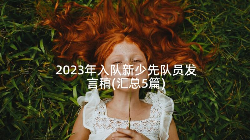 2023年入队新少先队员发言稿(汇总5篇)