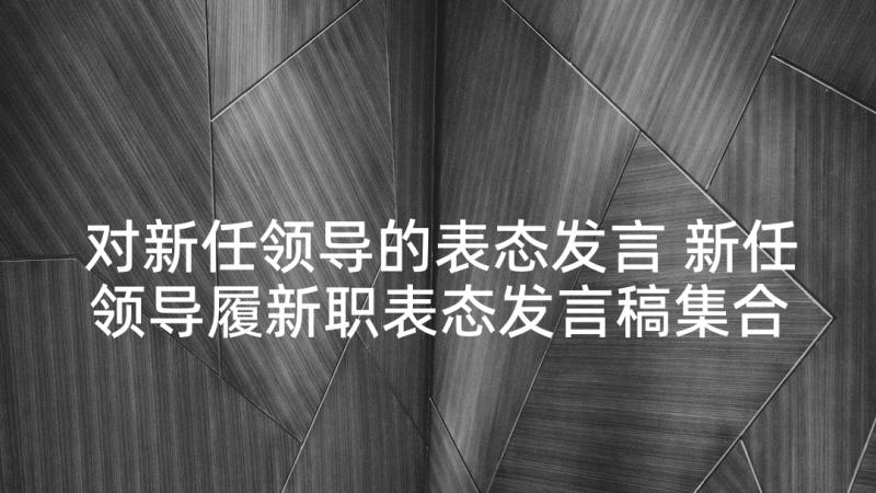 对新任领导的表态发言 新任领导履新职表态发言稿集合(优质5篇)