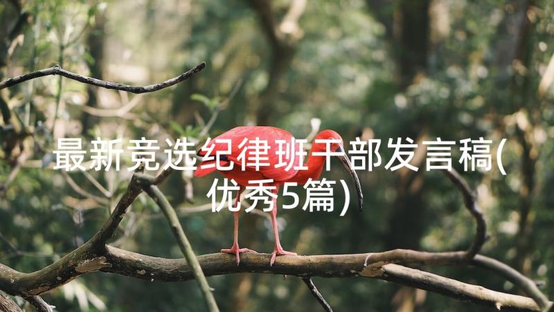 最新竞选纪律班干部发言稿(优秀5篇)