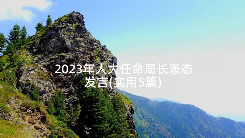 2023年人大任命局长表态发言(实用5篇)