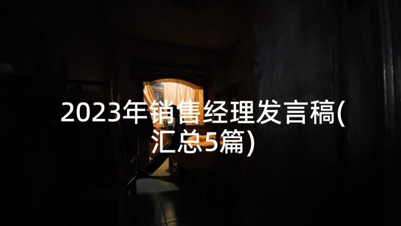 2023年销售经理发言稿(汇总5篇)