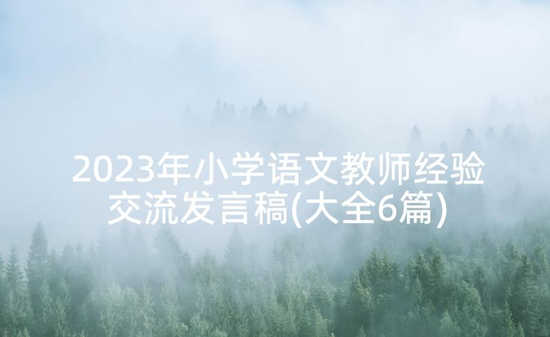 2023年小学语文教师经验交流发言稿(大全6篇)