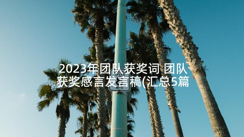 2023年团队获奖词 团队获奖感言发言稿(汇总5篇)