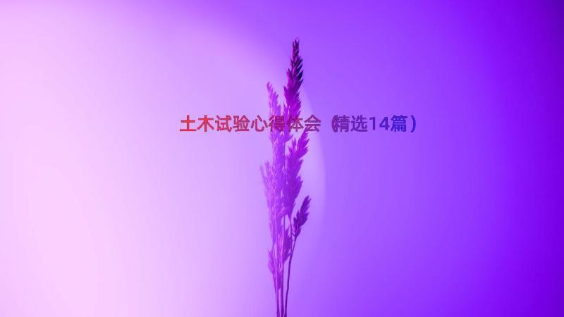 土木试验心得体会（精选14篇）