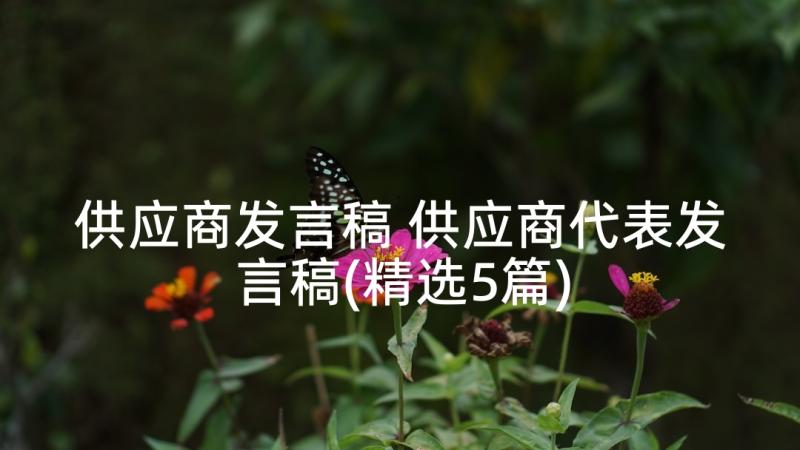 供应商发言稿 供应商代表发言稿(精选5篇)