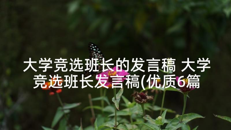 大学竞选班长的发言稿 大学竞选班长发言稿(优质6篇)