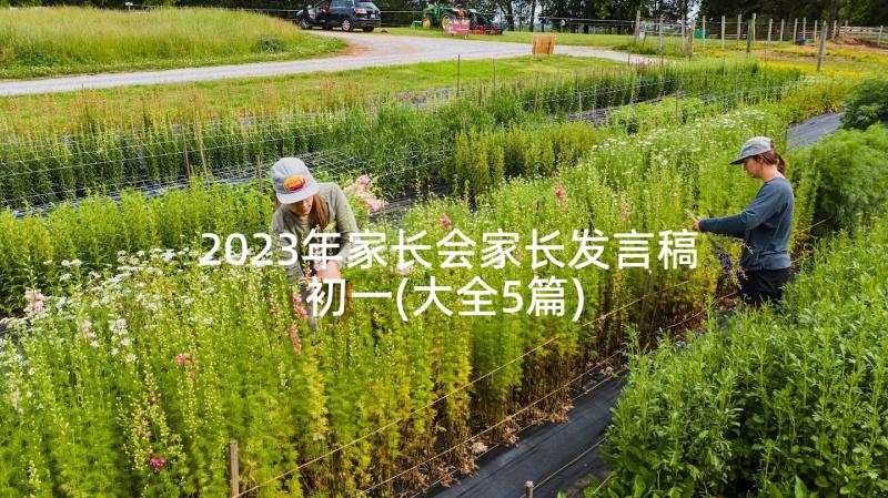 2023年家长会家长发言稿初一(大全5篇)