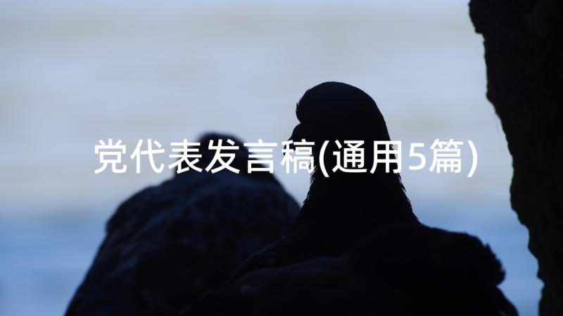 党代表发言稿(通用5篇)