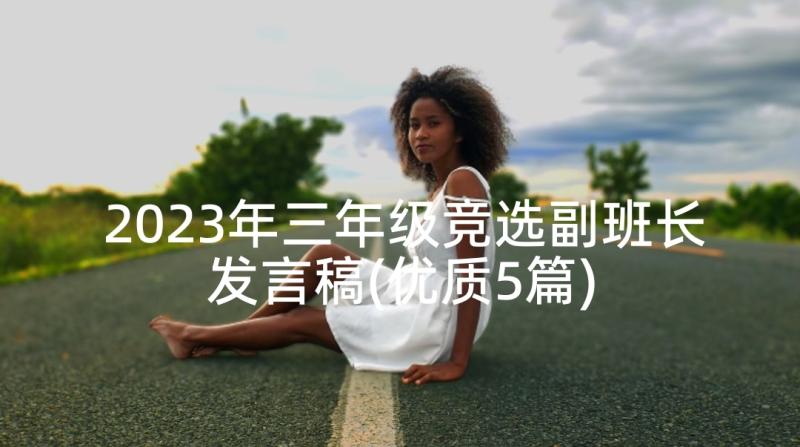 2023年三年级竞选副班长发言稿(优质5篇)