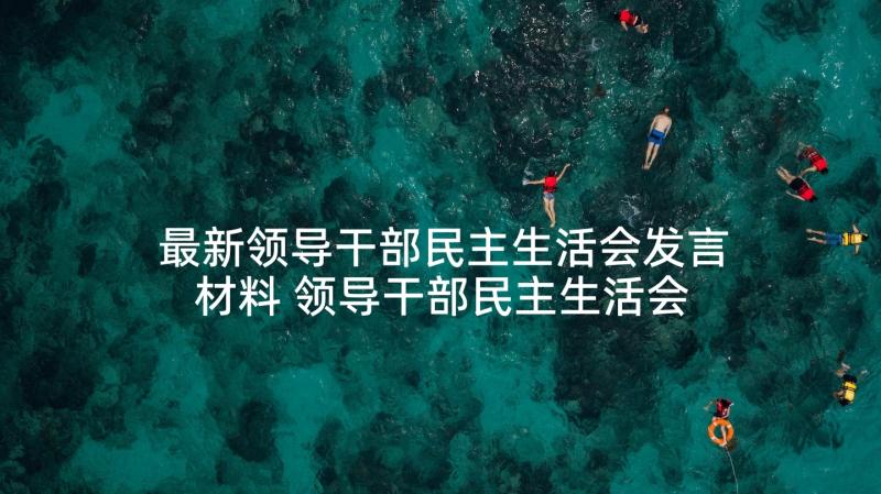 最新领导干部民主生活会发言材料 领导干部民主生活会发言稿(实用5篇)