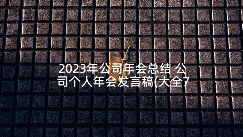 2023年公司年会总结 公司个人年会发言稿(大全7篇)
