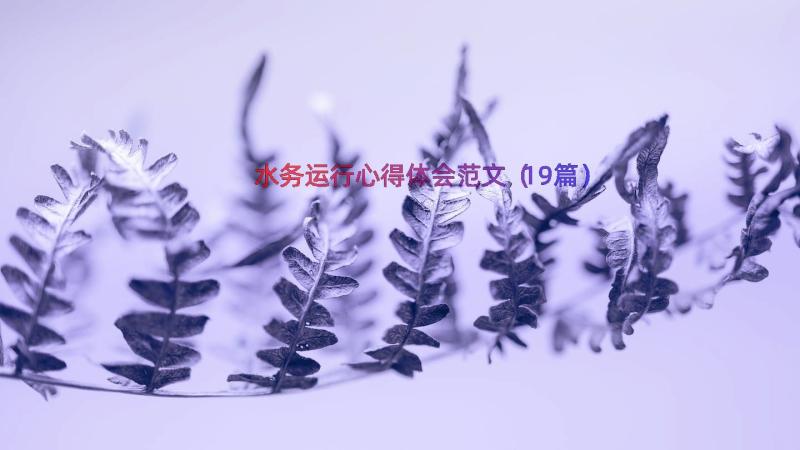 水务运行心得体会范文（19篇）