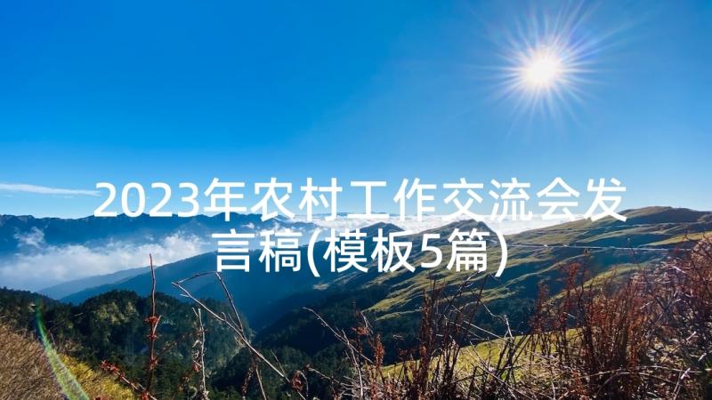 2023年农村工作交流会发言稿(模板5篇)