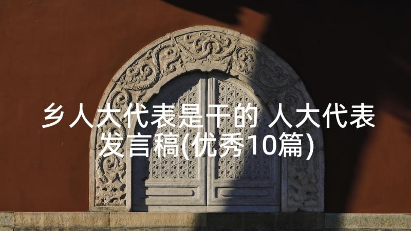 乡人大代表是干的 人大代表发言稿(优秀10篇)