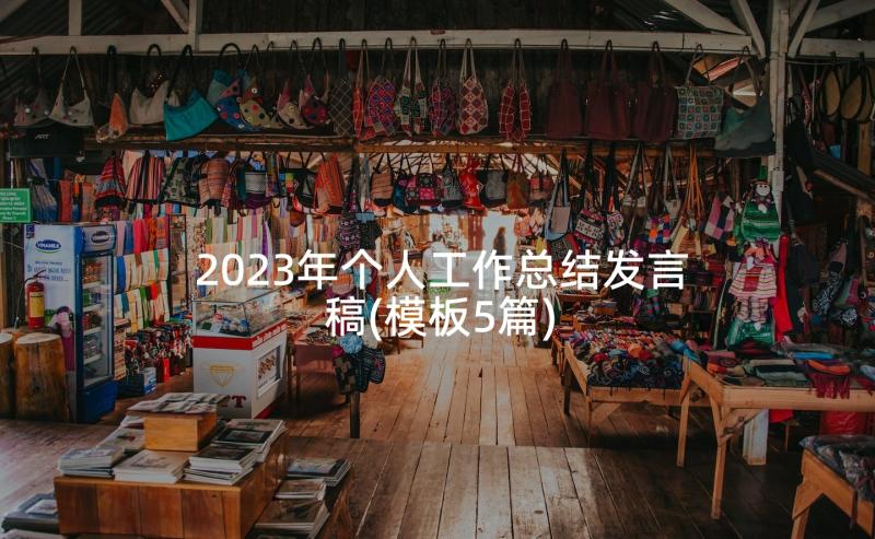 2023年个人工作总结发言稿(模板5篇)