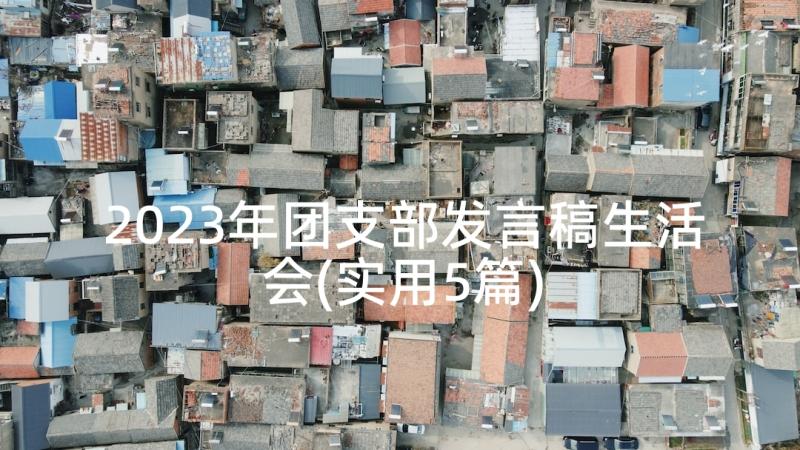 2023年团支部发言稿生活会(实用5篇)