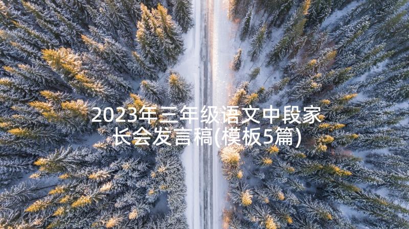 2023年三年级语文中段家长会发言稿(模板5篇)